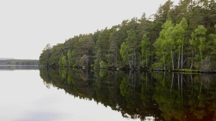 Wall Mural - Idyllic landscape view of a tranquil lake surrounded by lush green trees