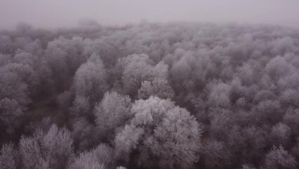 Sticker - Aerial video of a forest covered with snow on a foggy mysterious day