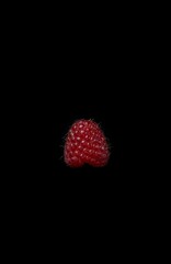 Sticker - Closeup of a single ripe raspberry against a black background