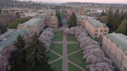 Wall Mural - Aerial of the old University of Washington Seattle with the beautiful park during the daytime