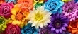 Colorful flower arrangement against bright backdrop