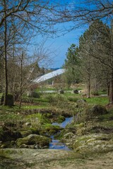 Sticker - Water stream with mossy stones  in the forest