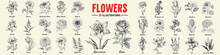 Flower Set Hand Drawn Vector Illustration. Rose, Lily, Narcissus And Violet Engraved Style, Sketch Isolated On White.