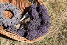 Wreath And Bouquets Of Lavender Flowers Lie In A Wicker Basket.