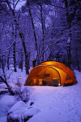 Wall Mural - camping in the forest
