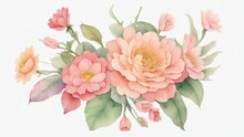 Watercolor Illustration Of Flowers