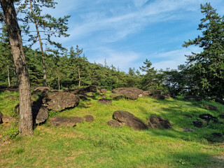 Canvas Print - it is a park with a dolmen on a hill.