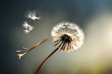 A Solitary Dandelion Seed, Caught In A Ray Of Sunlight As It Floats In The Air.