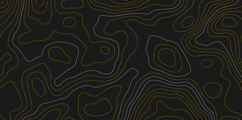 Black and white wavy paper curve relief abstract topographic map background. Geographic mountain relief. Topographic map lines, contour background. Abstract wave lines background.