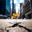 © Custom Media - Flower Growing Through Crack in Ground