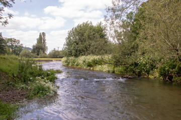 Wall Mural - Summertime river in the UK.