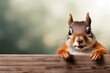 Niedliches, lustiges Eichhörnchen, lächelnd, mit erhobenem Daumen, um gute Arbeit oder gutes Produkt zu würdigen.  Breites Banner mit Kopierraumseite