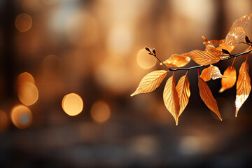 Wall Mural - Beautiful orange and golden autumn leaves against a blurry park in sunlight with beautiful bokeh.