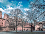 Fototapeta Storczyk - Antique building view in Heidelberg, Germany