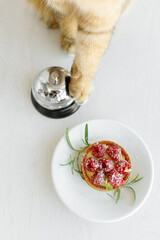 Wall Mural - british cat funny portrait with delicious raspberry tartlet and a bell for waiters