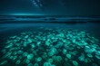 the quiet magic of bioluminescent plankton lighting up the night sea