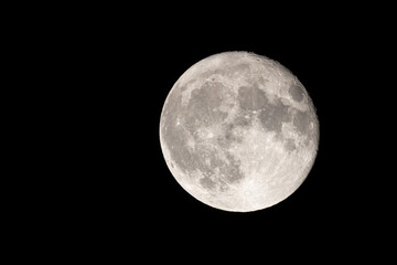 Wall Mural - full moon photographed with a telescope and reflex camera where you can see the craters on the lunar