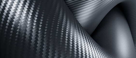 Wall Mural - curved and sinuous shapes in carbon fibre.