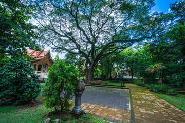 Wall Mural - Wat Chet Yot or Wat Photharam Maha Wihan, seven pagoda temple It is a major tourist attraction in Chiang Mai, Thailand.with evening,Temple in Chiang Mai.