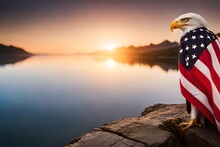 American Flag And Eagle At Evening . 