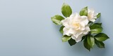 beautiful gardenia flower copy space, ai generative