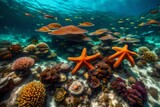 Fototapeta Do akwarium - coral reef and sea4k HD quality photo. 