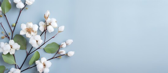 Aufkleber - Flowers with eucalyptus and cotton Flat lay top view Blog mockup isolated pastel background Copy space
