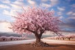 Harmony on Canvas: Almond Tree in 3:2 Aspect Ratio