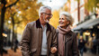 © Julia - Silver-haired couple strolling hand in hand.