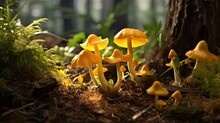  A Group Of Yellow Mushrooms Sitting On The Ground Next To A Tree.  Generative Ai
