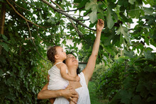 Young Mother With Baby Girl In Summer Playing And Picking Up Figs From Tree At Sunset. Summer Rural Nature In The Countryside. Smiling Happy Child And Family. Fun Family And Relax
