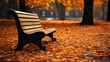 banc public dans un parc entouré de feuilles mortes au mois de novembre en automne