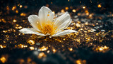 Beautiful jasmine flower background