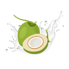 Wall Mural - Vector illustration, fresh coconut with splashes of coconut water, isolated on white background.