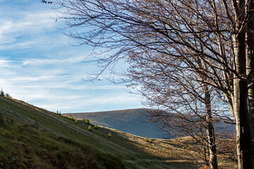 Sticker - autumn landscape in the Carpathians