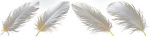White Feather Isolated On Transparent Background