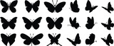 Fototapeta  - Flying butterflies silhouette black set isolated on white background