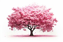 Stunning Sakura Tree With Beautiful Blossoms On White Background. Generative AI