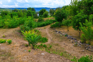 Wall Mural - Ruins or remains from the Jewish cemetery in the village of Vadul-Rashkov Moldova. Background with selective focus