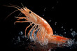 yellow shrimp in sea water
