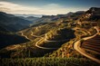 Beautiful vineyards in Priorat wine region, Spain. Generative AI