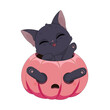 Zabawny czarny kot bawiący się w wydrążonej dyni. Ilustracja na Halloween. Cukierek albo psikus! Uroczy ręcznie rysowany mały kotek. Ilustracja wektorowa.