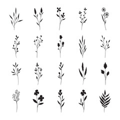 set of leaf silhouette hand drawn vector