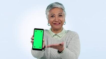 Sticker - Green screen, phone and senior woman hands show presentation and pointing to app tracking markers on blue background. Easy, steps and person talking with gesture to promotion or info on cellphone