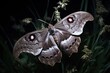 A close up of a moth on a plant. Generative AI.