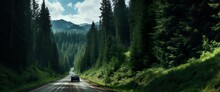 Mountain Road Drive In Greenery. Driving Through A Green Conifer Pine Forest.