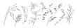 © Feodora_21 - Set of hand drawn botanical flowers, branches and leaves. Trendy sketch elements of wild and garden plants in line art style. Vector illustration on white background
