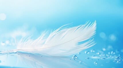 Poster - White light airy soft bird feather with transparent fresh drops of water on turquoise blue background close-up macro. Delicate dreamy exquisite artistic image of the purity and fragili : Generative AI