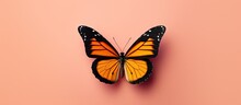 Gorgeous Butterfly Alone On Isolated Pastel Background Copy Space