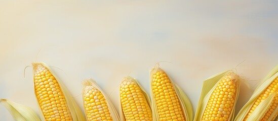 Wall Mural - copy space image of with isolated yellow corn seeds